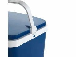 Nevera portátil Campos 24L 39,5x36,6x29,5 cm Azul New