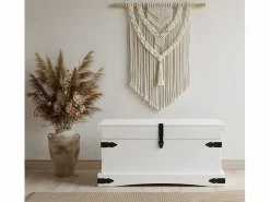 ebuy24 Baúl Y Arcón|Nuevo México ancho de pecho 92 cm, alto 45 cm /cera.