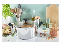 Tefal Olla 24 cm + tapa - Gris Best