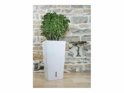 Riviera Jardinera|Olla cuadrada de plástico con reserva de agua 52 cm Eva