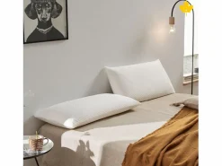 Pack Colchón + Almohada Viscoelastica + Somier Descansin | 160x180 | Ideal para Personas con Dolores de Espalda | Efecto nube | Silencioso Blanco Outlet