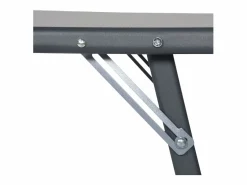 Happy Garden Pack de 2 tumbonas de textileno gris estructura antracita SARDINIA Gris antracita New