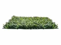 Cercados Y Ocultación|Paneles de Césped Artificial, SucceBuy Panel de Pared de Césped Artificial de 300 × 150 cm, Milán, para Privacidad y Decoración