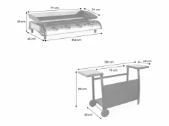 Plancha de gas 4 quemadores de acero inoxidable con carrito y^ Online