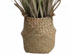 OZAIA Planta Artificial|Planta, arbusto, árbol gramínea artificial - Alt. 80 x Ancho 30 cm- - BEGURA