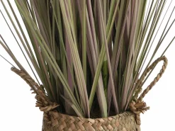 OZAIA Planta Artificial|Planta, arbusto, árbol gramínea artificial - Alt. 80 x Ancho 30 cm- - BEGURA
