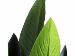 NORTENE Planta Artificial|Planta artificial ave del paraiso flor 185 cm 185 CM