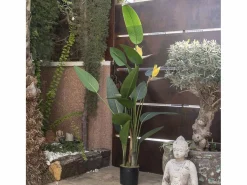 NORTENE Planta Artificial|Planta artificial ave del paraiso flor 185 cm 185 CM