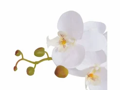 Planta artificial con maceta Orquídea 65 cm Blanca Blanco Clearance