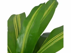 Planta Artificial|Planta artificial con maceta Dracaena 90 cm