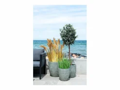 House Nordic POA Artificial 68 cm Verde Best