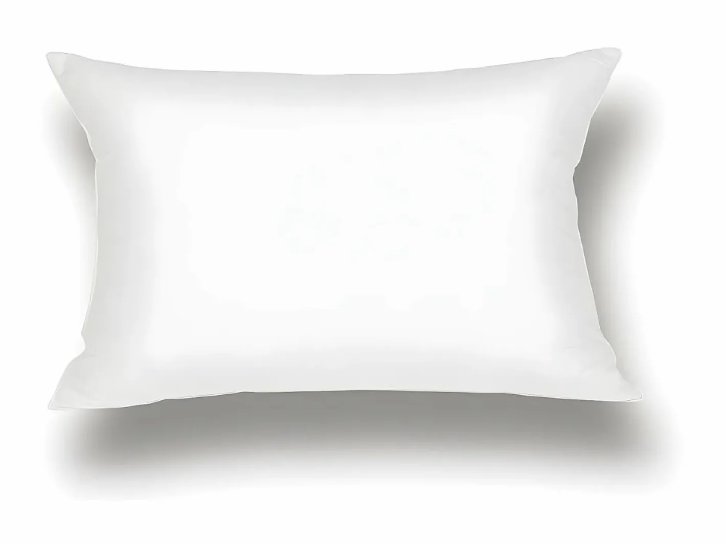 DODO Protector de almohada absorbente - 60 x 60 cm - ULTRA CONFORT Blanco Best