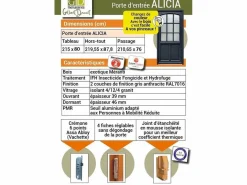GD Menuiseries Puerta De Entrada|Puerta de Entrada de Madera Exo Modelo 'Alicia' 215X90 Lado Derecho Vendida con Manija y Barril sin manilla