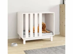 Rivoli Caseta para perros madera maciza de pino 70x50x62 cm^Garden Furniture Clearance