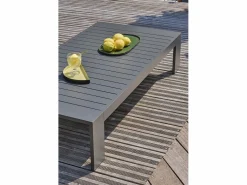 Paris Garden Salones De Jardín|Salón de jardín 5 plazas en aluminio y reposabrazos en HPL