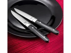 Amefa Cubierto|Set de 4 cuchillos para carne Fusion Noir - Hoja lisa y mango de ABS - 22 cm