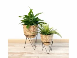 Set de 2 maceteros Jacinto MOA Vinthera natural^ New