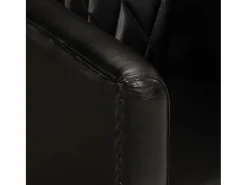 vidaxl Sillón De Piel|Sillón Estilo Cabriolet|Sillón butaca de cuero auténtico
