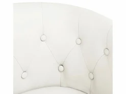 Clicnbuy Sillón Estilo Cabriolet|Sillón cuero sintético