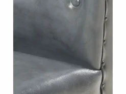 vidaxl Sillón de cuero auténtico Gris