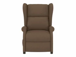 Sillón Relax|Sillón de salón | Silla | Sillón orejero reclinable eléctrico tela marrón SHL5999