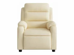 Sillón de salón | Silla | Sillón de masaje reclinable de tela SHL8258^ Best