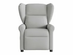 Sillón de salón | Silla | Sillón de masaje reclinable de tela nube SHL4994 Gris New
