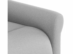 Sillón de salón | Silla | Sillón de masaje reclinable de tela nube SHL4994 Gris New