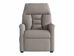Sillón de salón | Silla | Sillón de masaje reclinable de tela gris taupé SHL9515^ Discount
