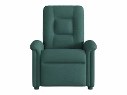 Sillón de salón | Silla | Sillón de masaje reclinable de tela verde oscuro SHL2651 Verde pino Hot