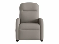 Sillón de salón | Silla | Sillón de masaje reclinable de tela gris taupé SHL2271^ Hot