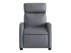 Sillón De Masaje|Sillón de salón | Silla | Sillón de masaje reclinable cuero sintético SHL9241