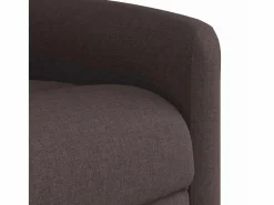 Sillón de salón | Silla | Sillón de masaje reclinable de tela marrón oscuro SHL7401^ Best