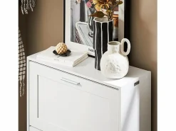 Sobuy Zapatero|Mueble De Almacenaje|FSR137-W Zapatero estrecho con 2 Solapas 60 x 25 x 80 cm