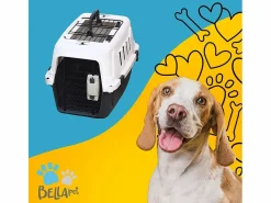 AHD Transportín De Paseo Para Animales|Transportín rígido jaula para animales con almohadilla 30 x 45 x 30 cm Rexxy M.