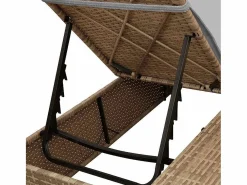vidaxl Tumbona|Tumbona doble Ajustable Gris 205 x 129 x 200 cm ratán sintético