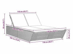 vidaxl Tumbona doble con cojines ratán sintético Beige