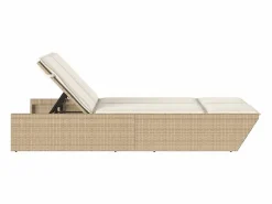 vidaxl Tumbona doble con cojines ratán sintético Beige