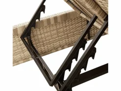 vidaxl Tumbona doble con cojines ratán sintético Beige