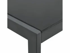 vidaxl Tumbona|Tumbonas con mesa 2 unidades textilene y acero