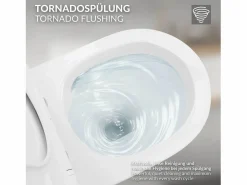 WC Cerámico suspendido 49cm sin reborde corto con sistema softclose^LuxeBath
