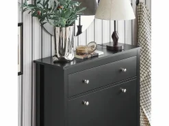 Sobuy Zapatero|Mueble De Almacenaje|Zapatero 2 Solapas Armario de Entrada Zapatero con cajón grande 80 x 25 x 108 cm FSR89-SCH ES