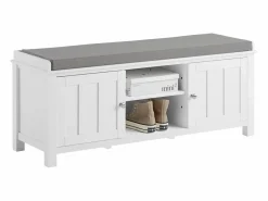 Zapatero con Dos Puertas Cerradas y Dos Estantes, Almacenamiento y Banco con Cojín en Superior，Armarios, FSR35-W ES^Sobuy Online