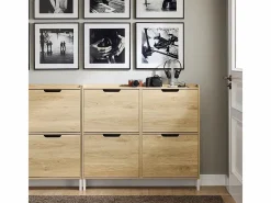 Zapatero Estrecho con 4 Solapas Organizador FSR100-N ES^Sobuy Best