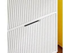 Sobuy Zapatero|Mueble De Almacenaje|Zapatero Estrecho con 4 Solapas Organizador FSR177-L-W ES