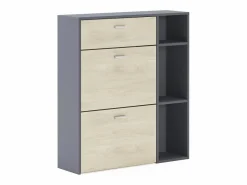Skraut Home Zapatero|Mueble De Almacenaje|Zapatero WIND, color estructura Gris Antracita, color roble, 90x26x102cm